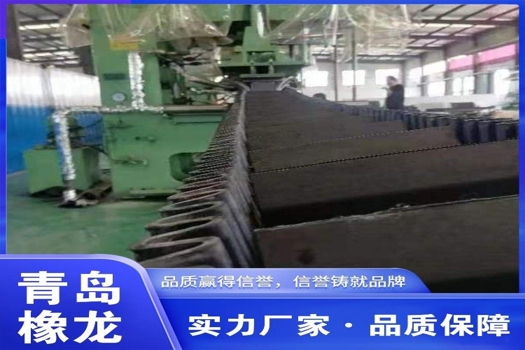 橡龍耐熱擋邊帶，花紋輸送帶，異形傳送帶定制服務