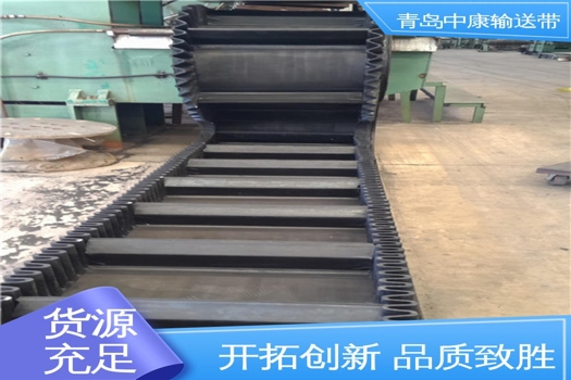 尼龍擋邊輸送帶B600：輕量化多功能，不易變形，無異味